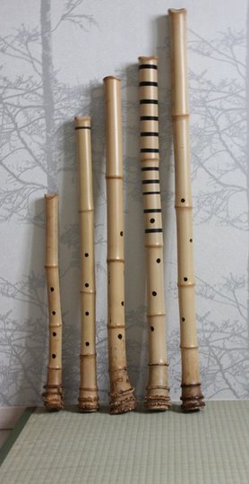 Shakuhachi family.JPG