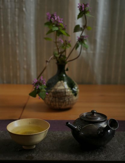 Gyokuro-traditionnel-de-Yame,-Hoshino-Zairai-2019.jpg