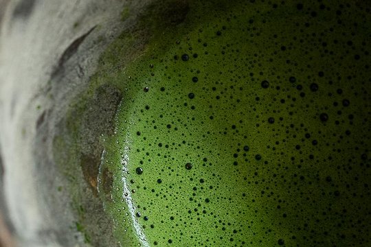 Matcha Uji Emmanuel A-4.jpg