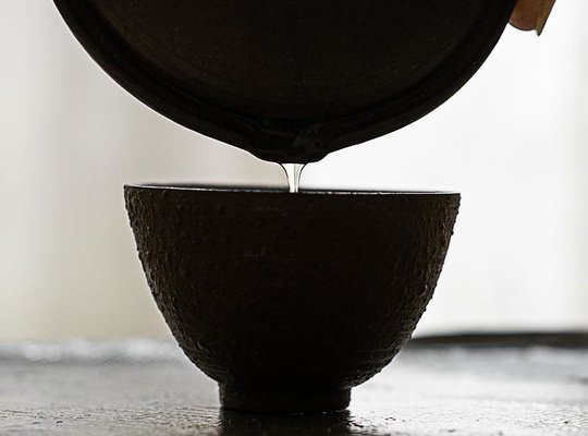 Gyokuro Benoit-4.jpg