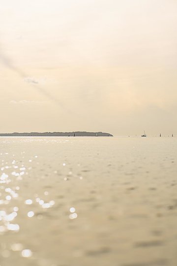 HonYama Yamakai-5.jpg