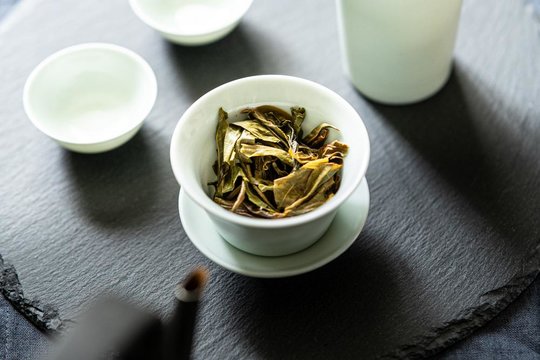 _Lincang_Lao_Shu_2024.jpg